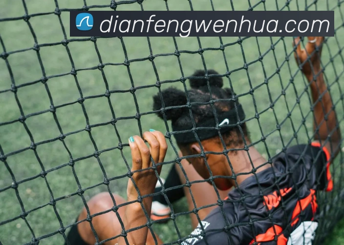 巅峰国际平台生态图